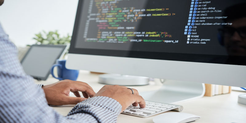 What-are-LMS-Custom-Software-Development-Services